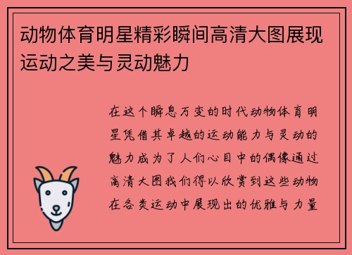 动物体育明星精彩瞬间高清大图展现运动之美与灵动魅力