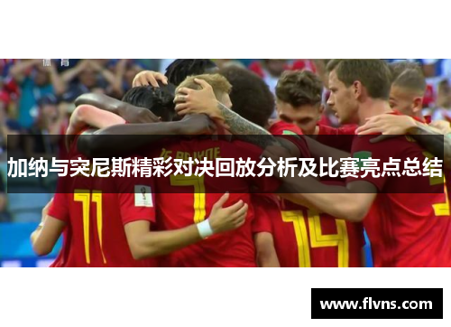 加纳与突尼斯精彩对决回放分析及比赛亮点总结