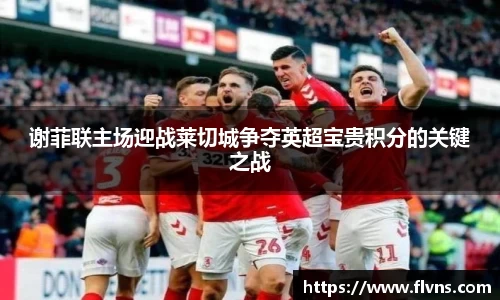 333体育谢菲联主场迎战莱切城争夺英超宝贵积分的关键之战